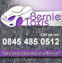 Bernie Taxi Services 774587 Image 0
