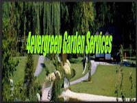 4evergreen garden services 774995 Image 0