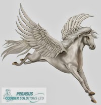 Pegasus Courier Solutions Ltd 778662 Image 0