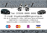 Tinys Taxis 773782 Image 0